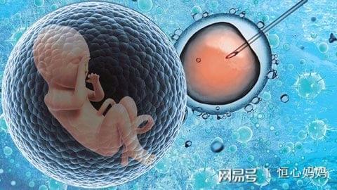 正规有偿捐卵